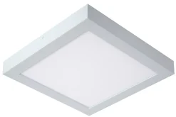 BRICE-LED - Plafonnière Badkamer - LED Dimb. - 1x30W 3000K - IP44 - Wit*Lucide Shop
