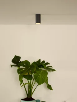 DELTO - Plafondspot - Ø 5,5 cm - LED Dim to warm - GU10 - 1x5W 2200K/3000K - Grijs*Lucide Hot