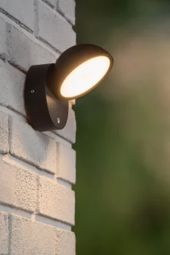 FINN - Wandlamp Binnen/Buiten - LED - 1x12W 3000K - IP54 - Dag/nacht sensor - Zwart*Lucide Cheap