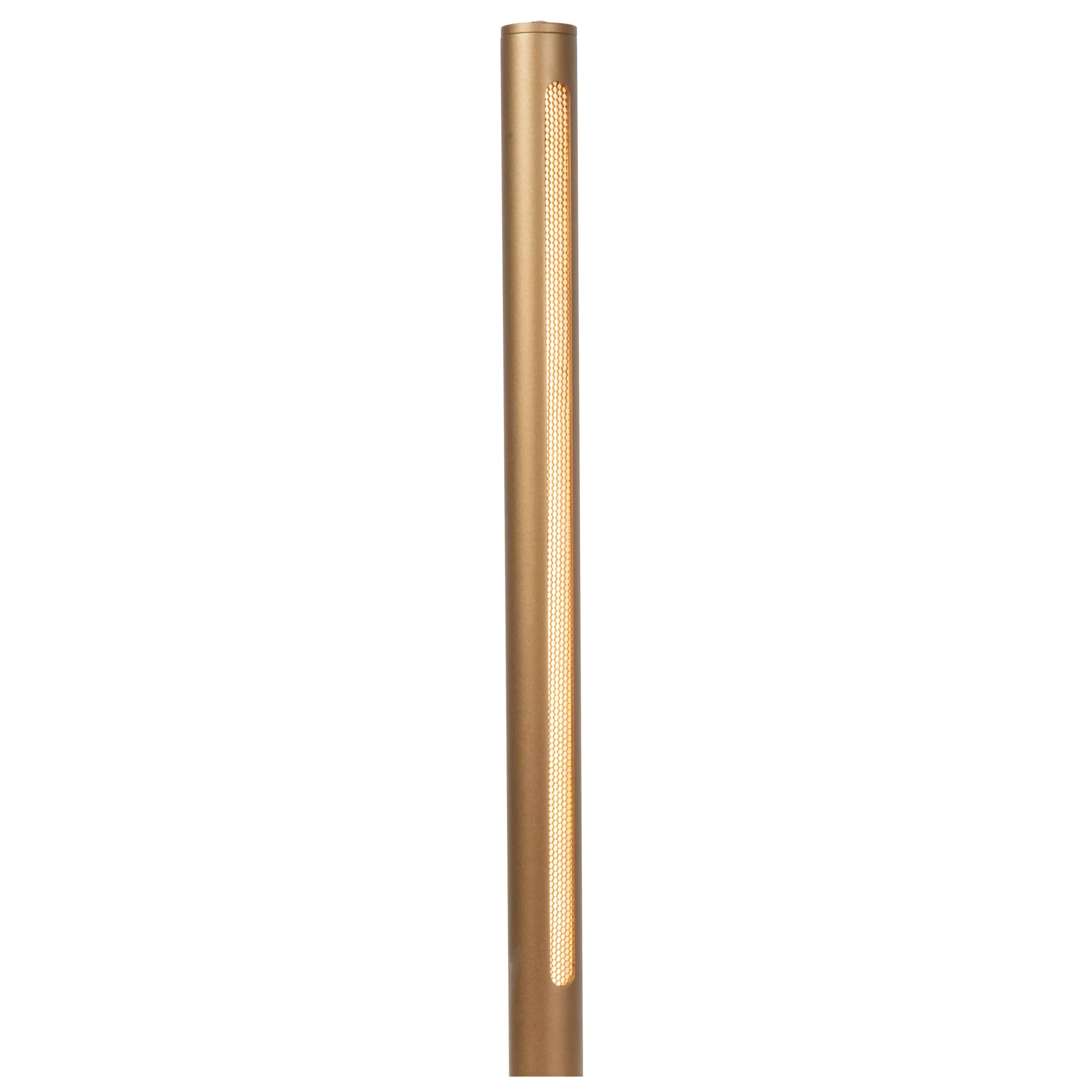GRIFFITH - Vloerlamp - Ø 21 cm - LED Dimb. - CCT - 1x18W 2700K/4000K - Brons*Lucide Fashion