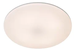 OLSON - Plafonnière - Ø 29 cm - LED Dimb. - CCT - 1x24W 3000K/6500K - Opaal*Lucide Hot