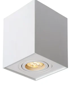 TUBE - Plafondspot - 1xGU10 - Wit*Lucide Shop