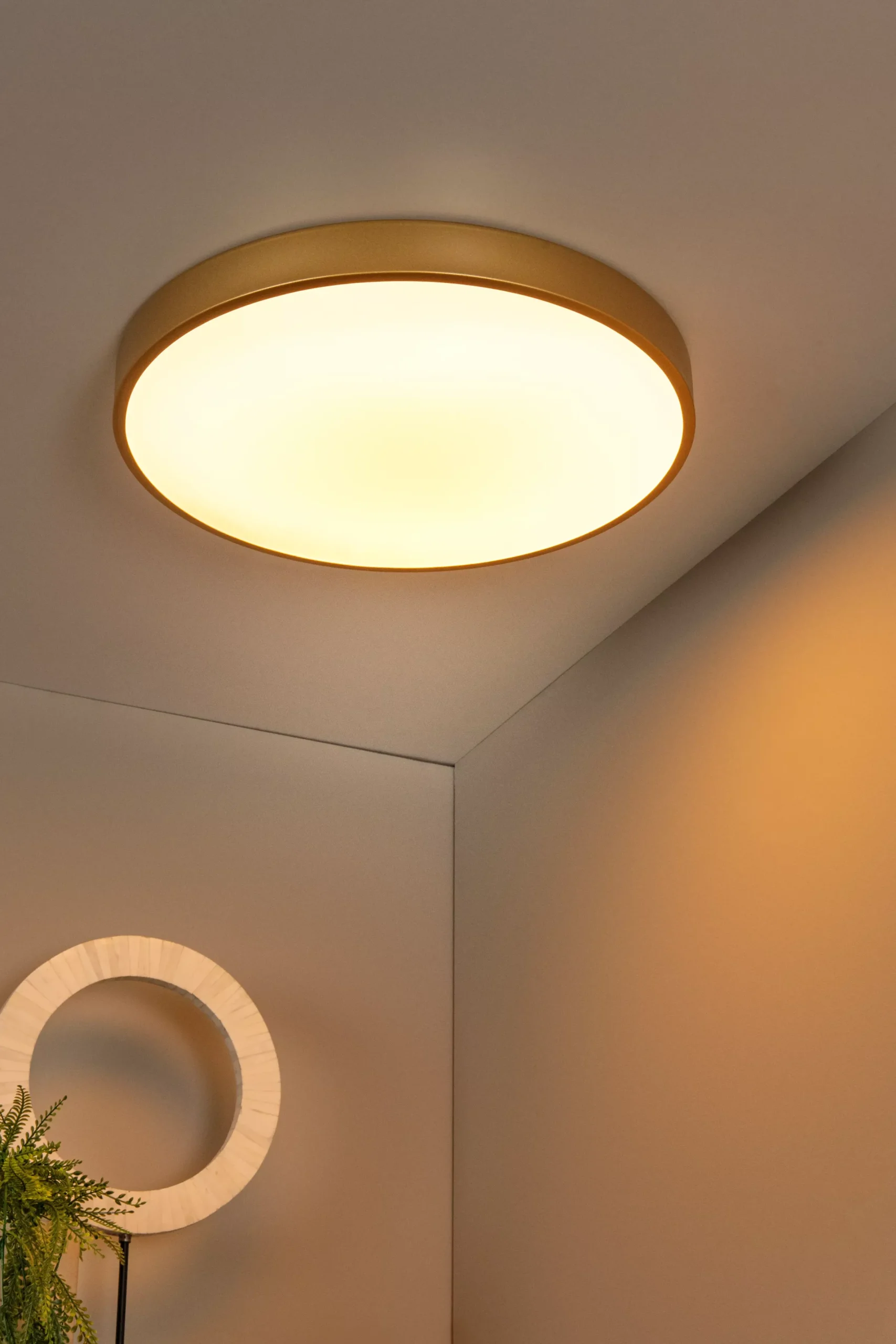 UNAR - Plafonnière - Ø 49,5 cm - LED 3 StepDim - 1x36W 2700K - Mat Goud / Messing*Lucide Outlet